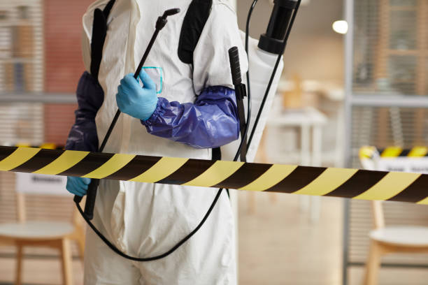 Professional Sewage Cleanup technician working in Pine River, WI